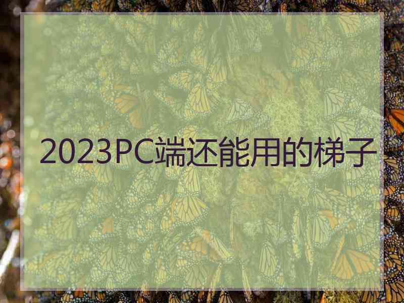 2023PC端还能用的梯子