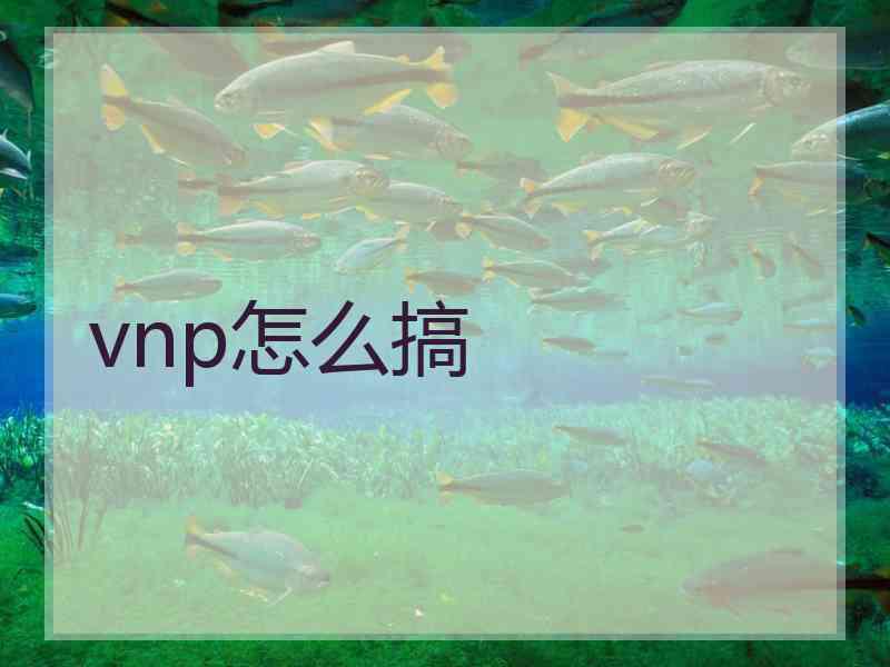 vnp怎么搞