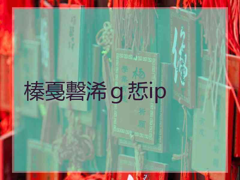 榛戞礊浠ｇ悊ip