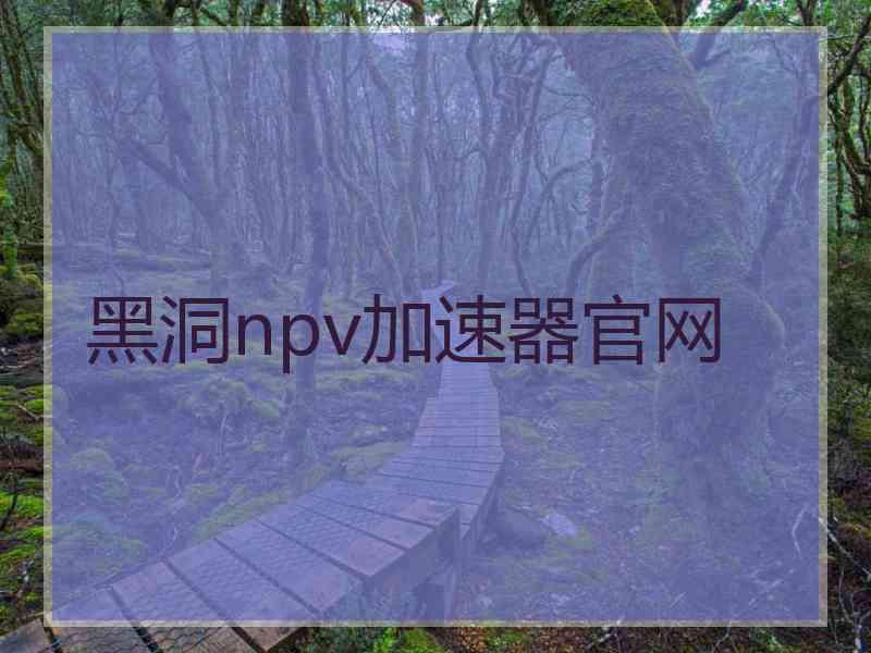 黑洞npv加速器官网