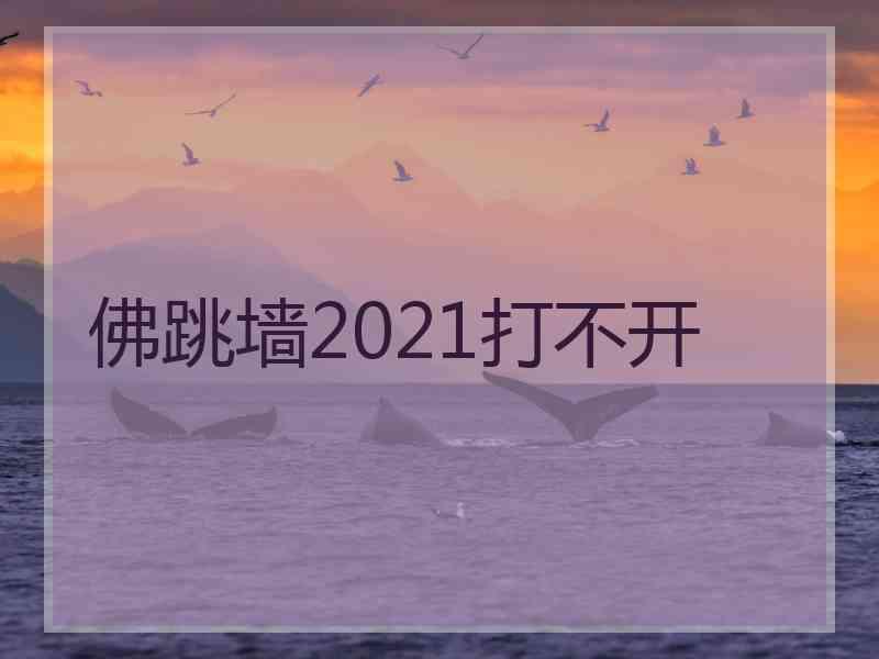 佛跳墙2021打不开