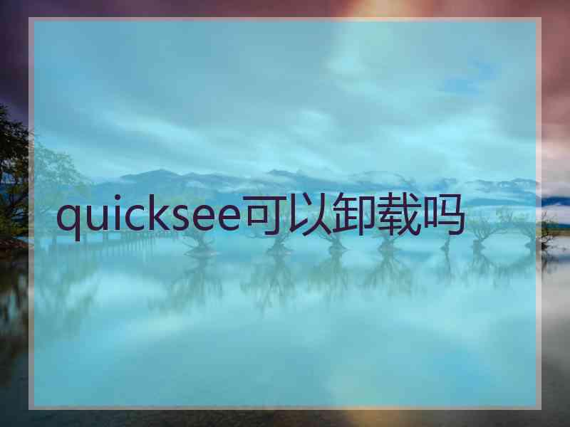 quicksee可以卸载吗