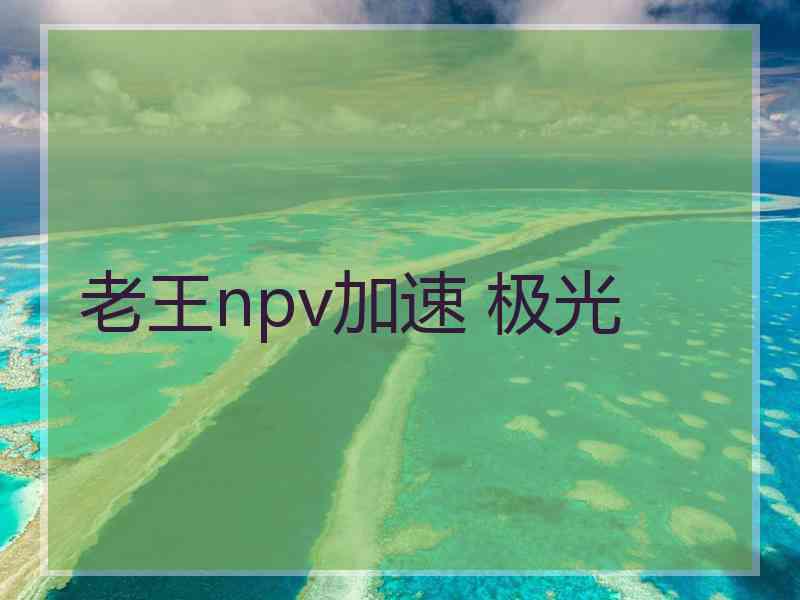 老王npv加速 极光