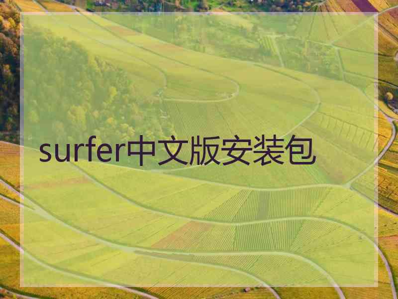 surfer中文版安装包