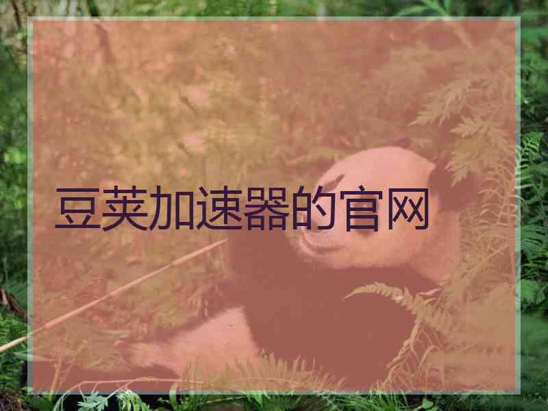 豆荚加速器的官网