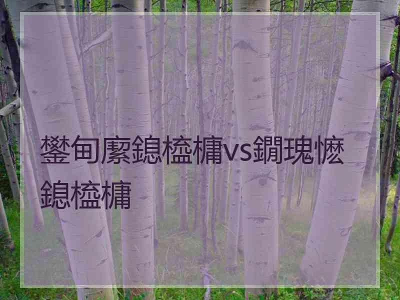 鐢甸緳鎴橀槦vs鐗瑰懡鎴橀槦