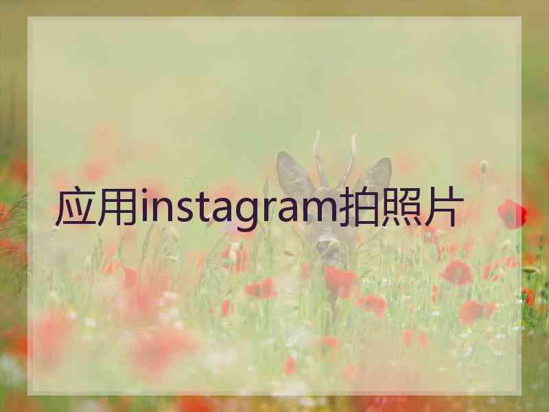 应用instagram拍照片