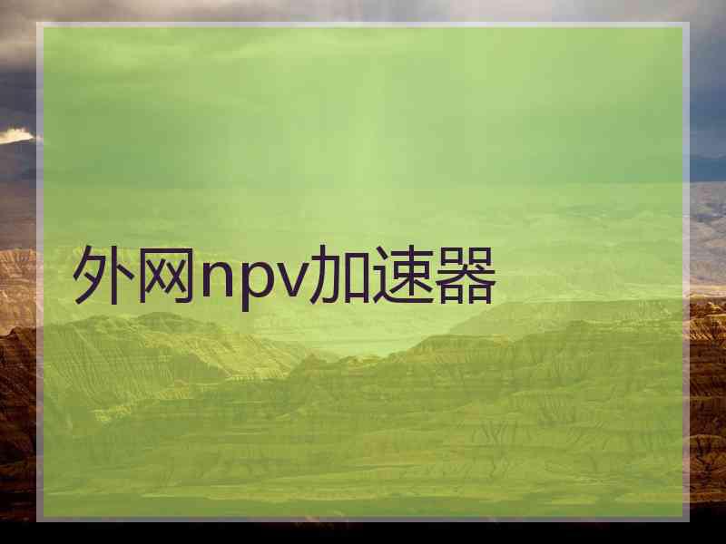 外网npv加速器