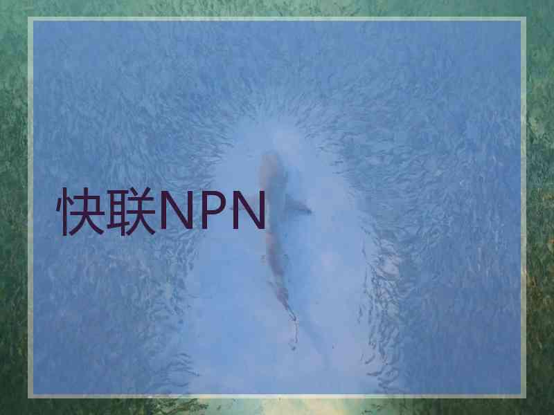 快联NPN