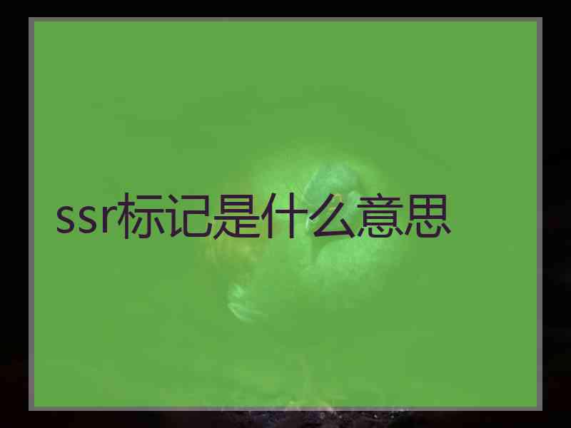 ssr标记是什么意思