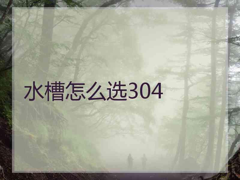 水槽怎么选304