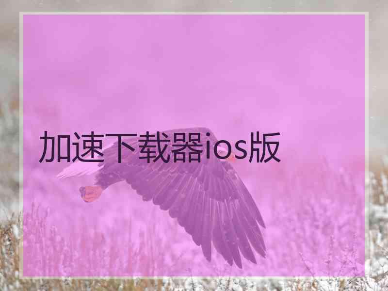 加速下载器ios版