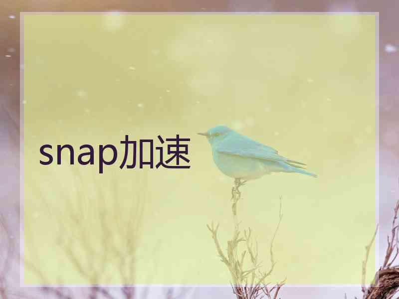 snap加速