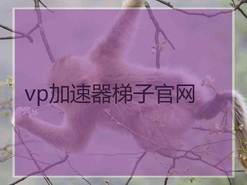 vp加速器梯子官网