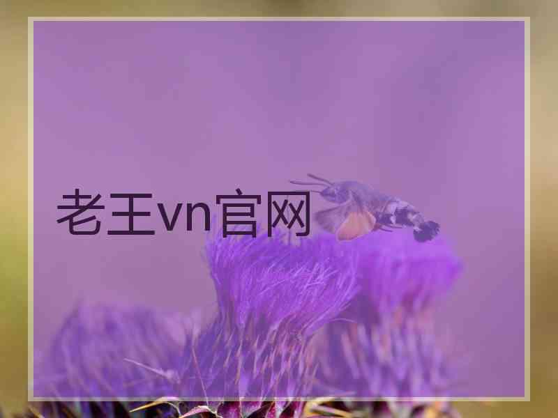 老王vn官网