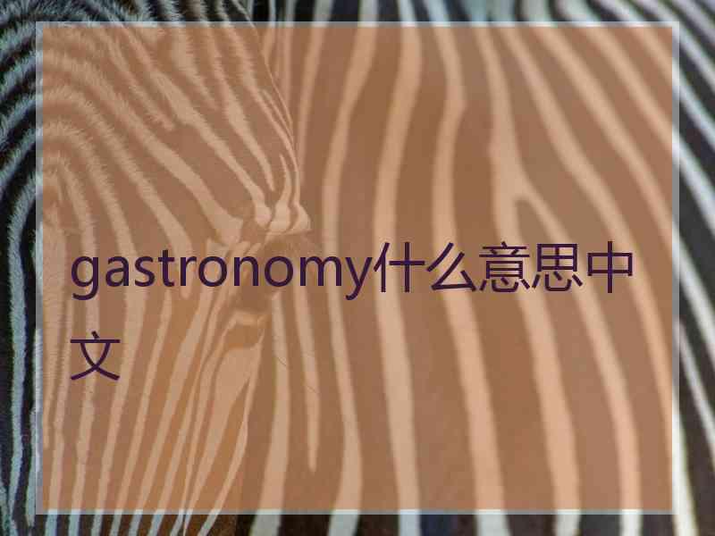 gastronomy什么意思中文