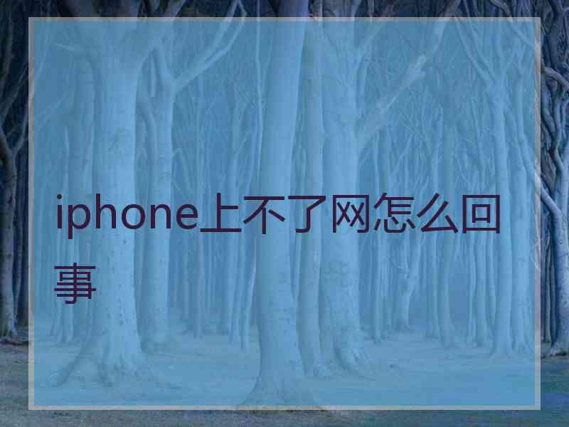 iphone上不了网怎么回事