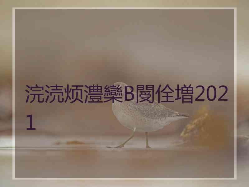 浣涜烦澧欒В閿佺増2021