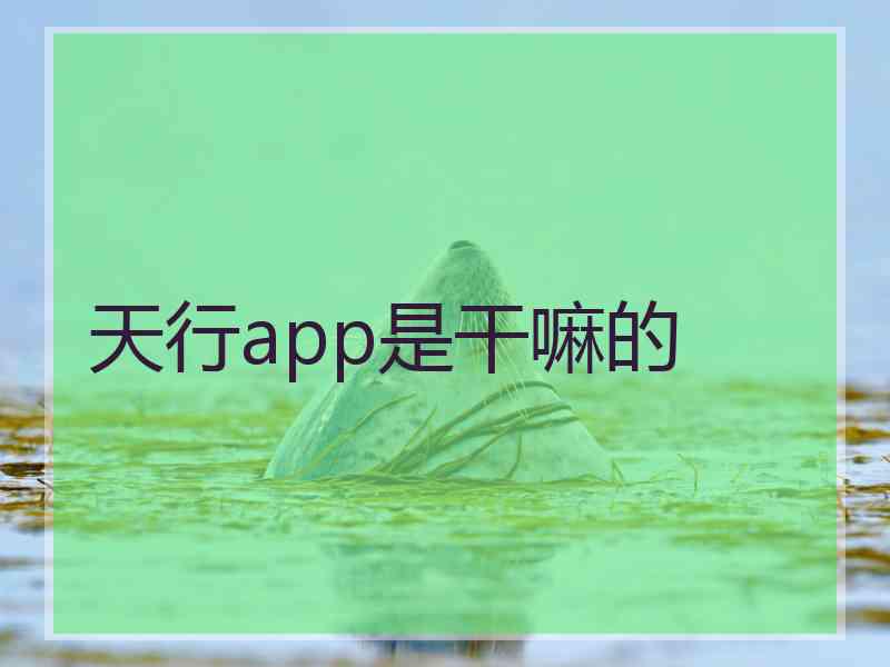 天行app是干嘛的