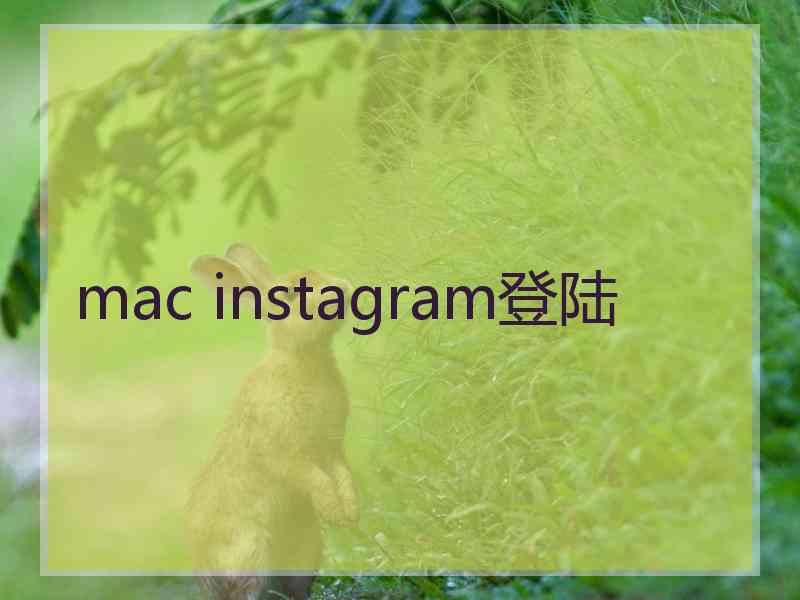 mac instagram登陆