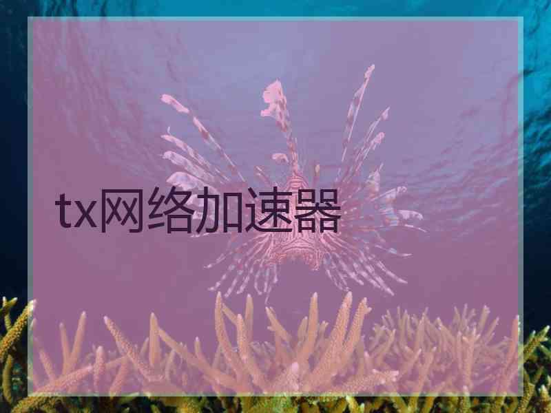 tx网络加速器