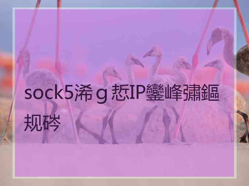 sock5浠ｇ悊IP鑾峰彇鏂规硶