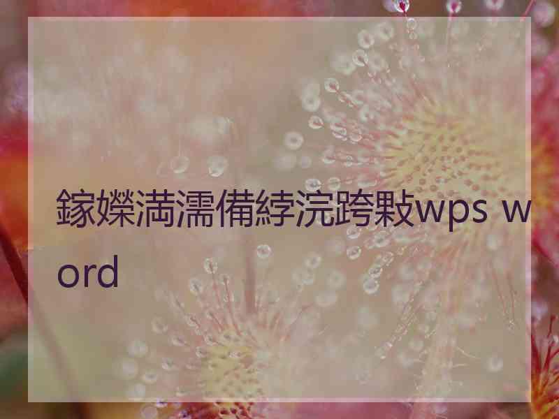 鎵嬫満濡備綍浣跨敤wps word