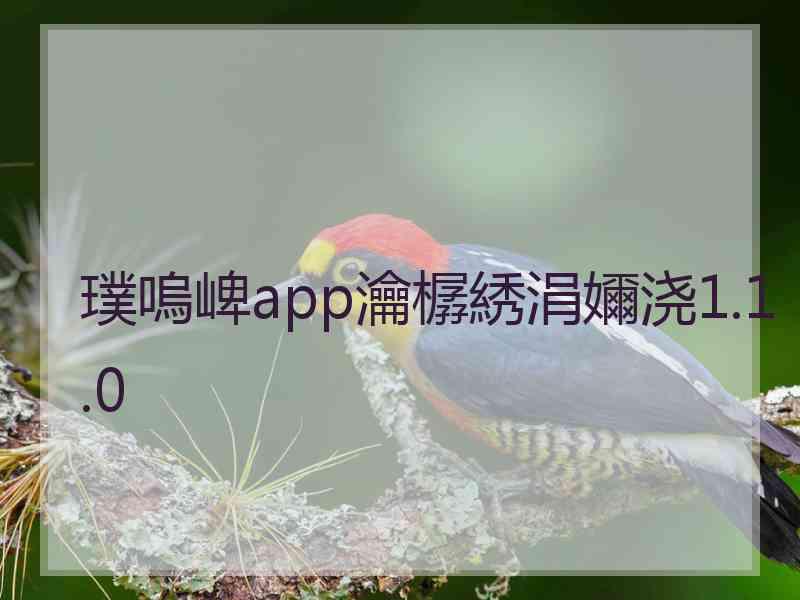 璞嗚崥app瀹樼綉涓嬭浇1.1.0