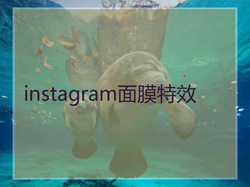 instagram面膜特效