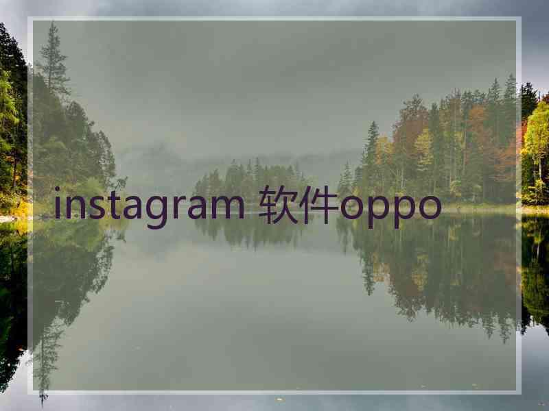 instagram 软件oppo