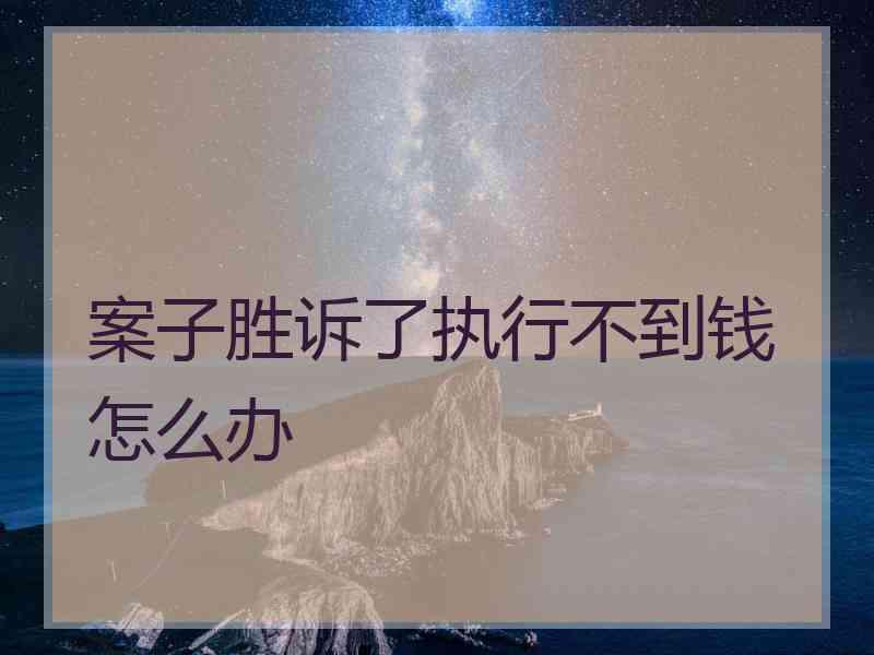 案子胜诉了执行不到钱怎么办