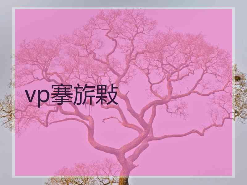 vp搴旂敤