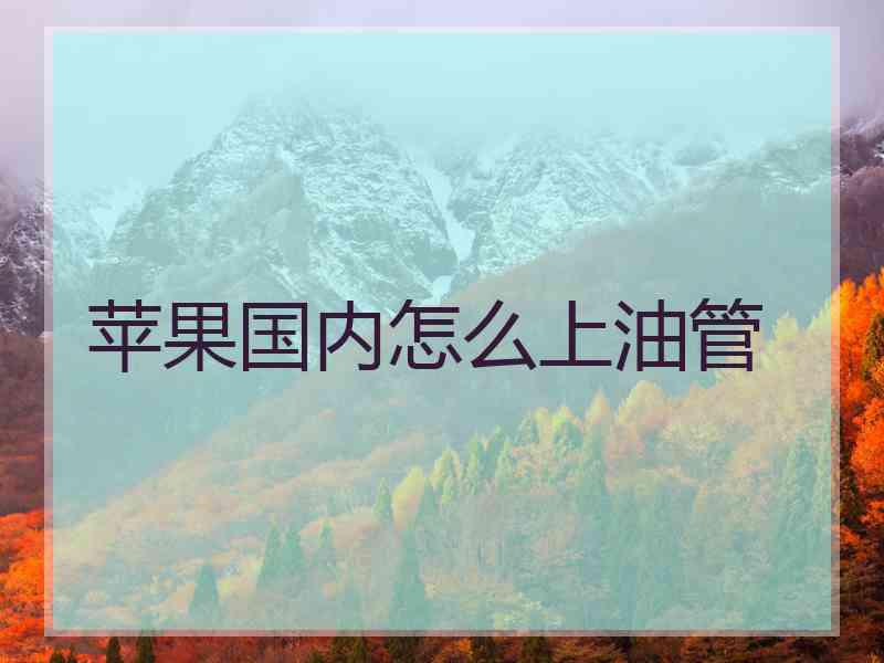 苹果国内怎么上油管