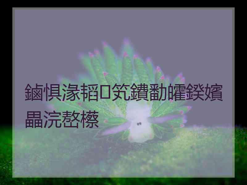 鏀惧湪韬笂鐨勫皬鍨嬪畾浣嶅櫒