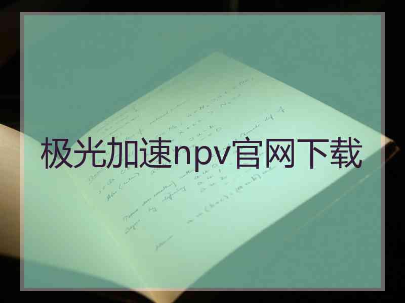 极光加速npv官网下载