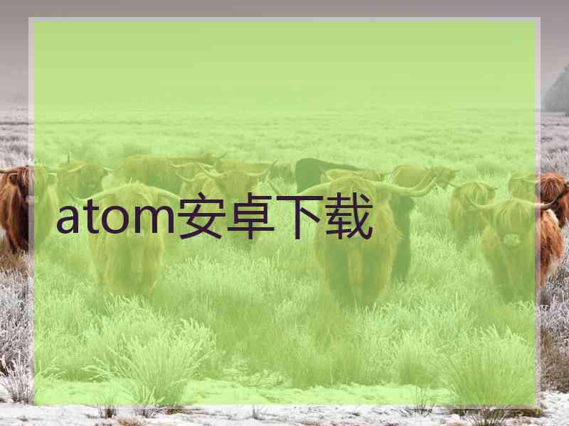 atom安卓下载