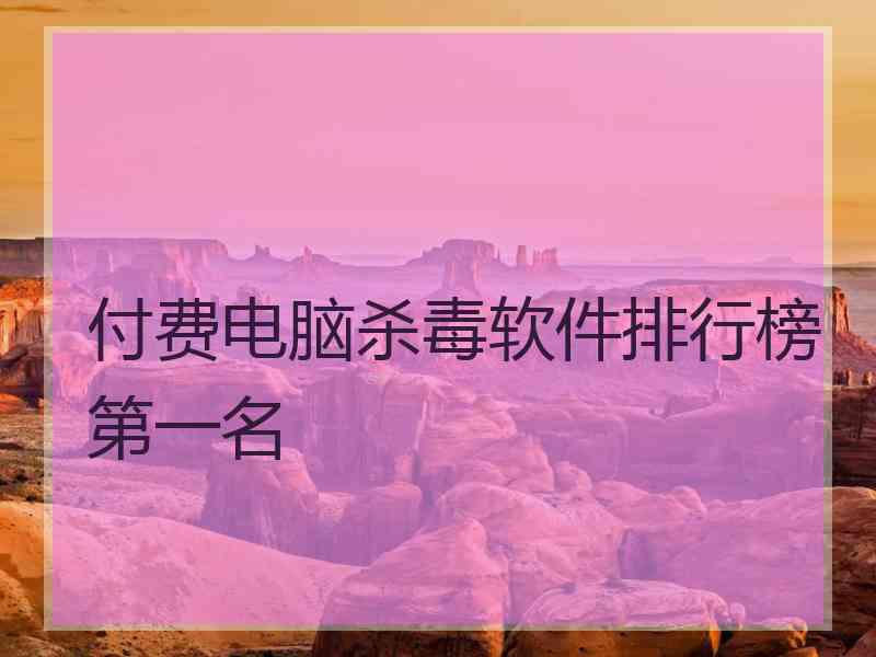 付费电脑杀毒软件排行榜第一名