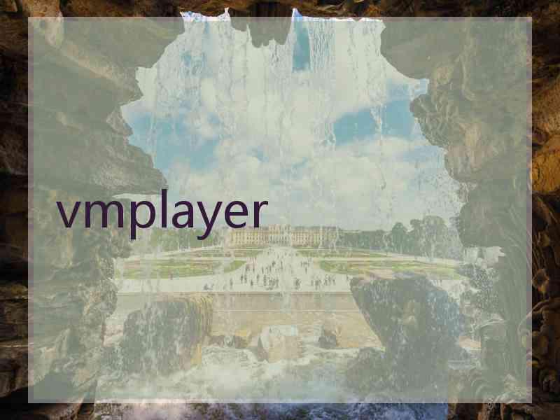 vmplayer