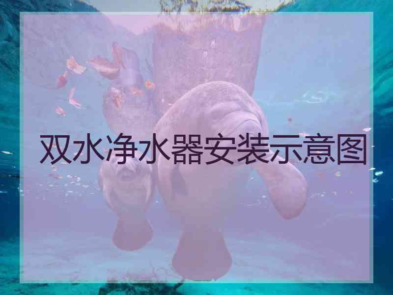 双水净水器安装示意图