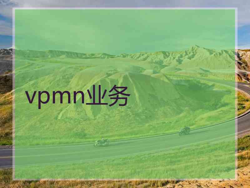 vpmn业务