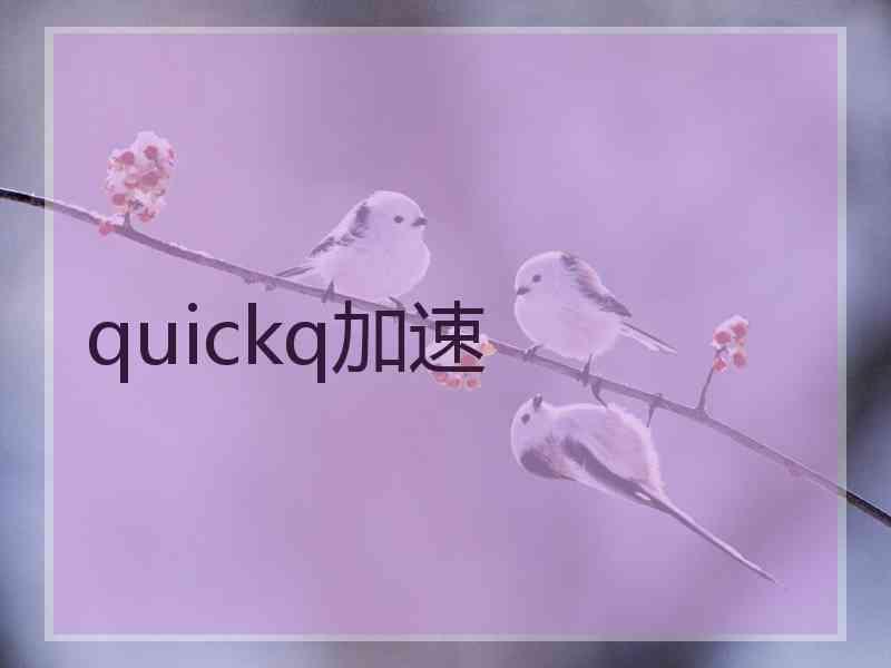 quickq加速