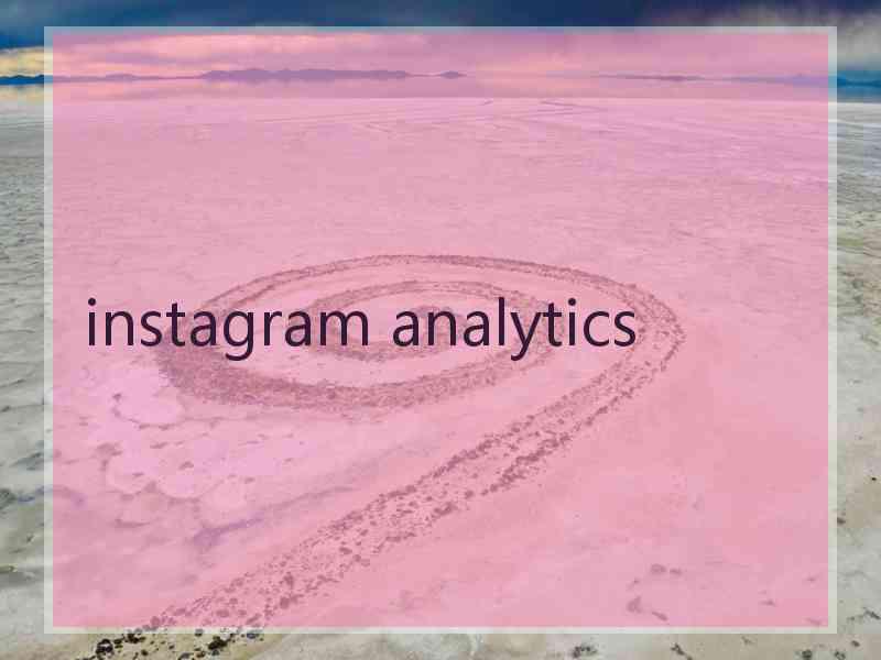 instagram analytics