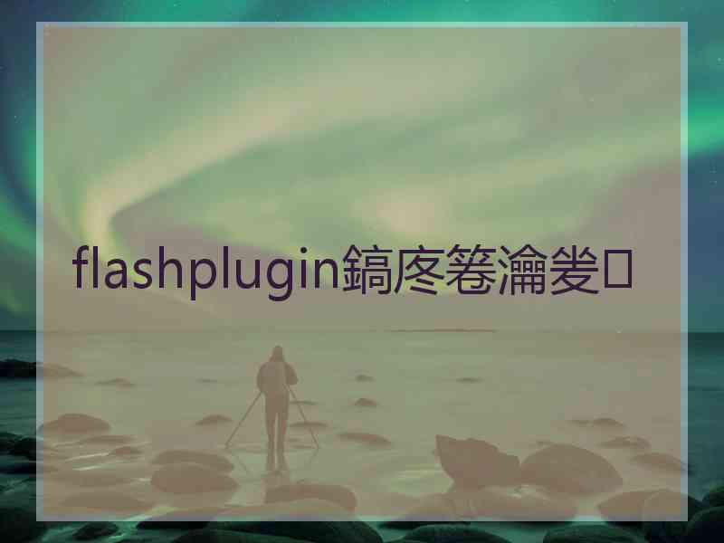 flashplugin鎬庝箞瀹夎