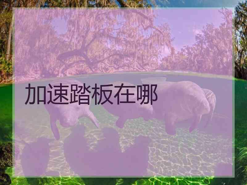 加速踏板在哪