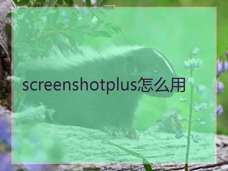 screenshotplus怎么用