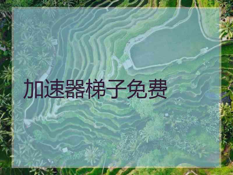 加速器梯子免费