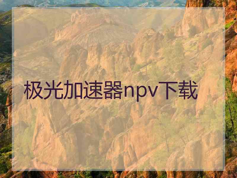 极光加速器npv下载