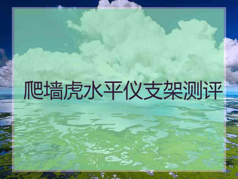 爬墙虎水平仪支架测评