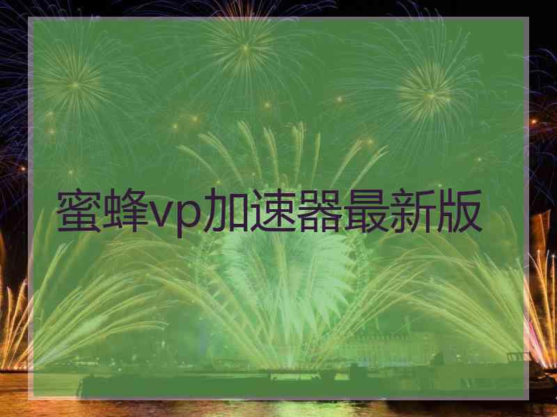 蜜蜂vp加速器最新版