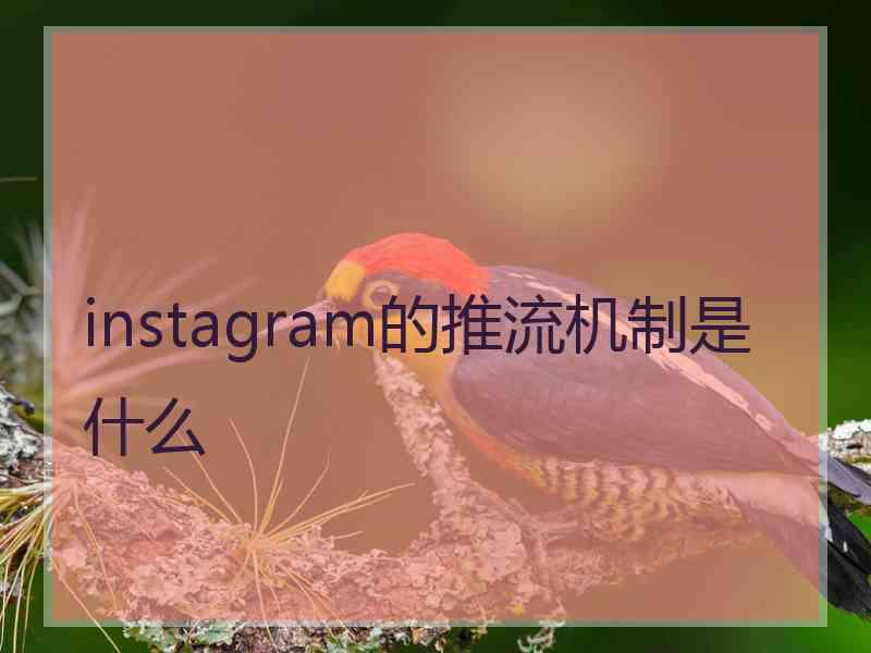 instagram的推流机制是什么